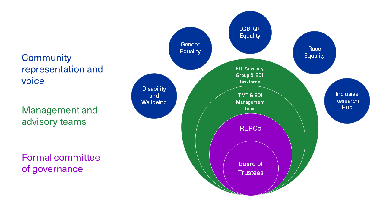 edi-framework-the-alan-turing-institute